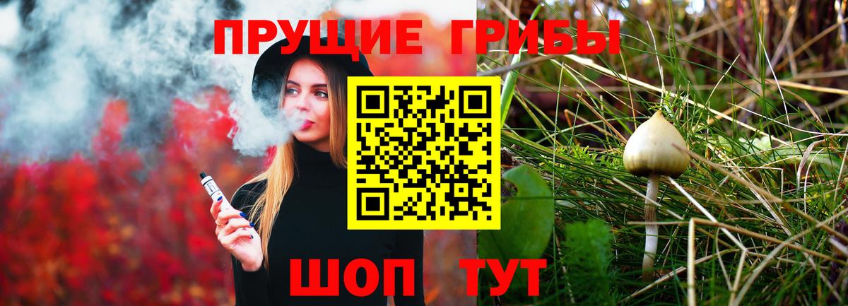 Псилоцибиновые грибы прущие грибы  Псилоцибиновые грибы Cubensis  Елабуга  Вход с VPN 