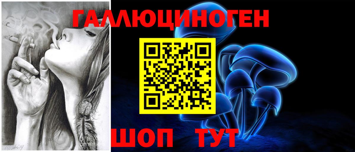 Галлюциногенные грибы Cubensis Елабуга
