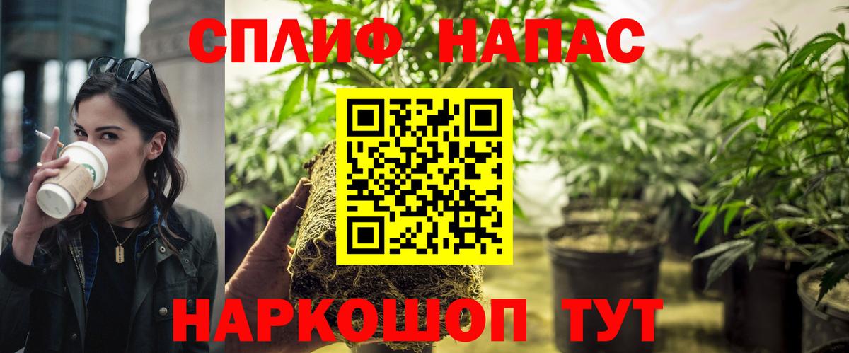 Марихуана планчик Елабуга